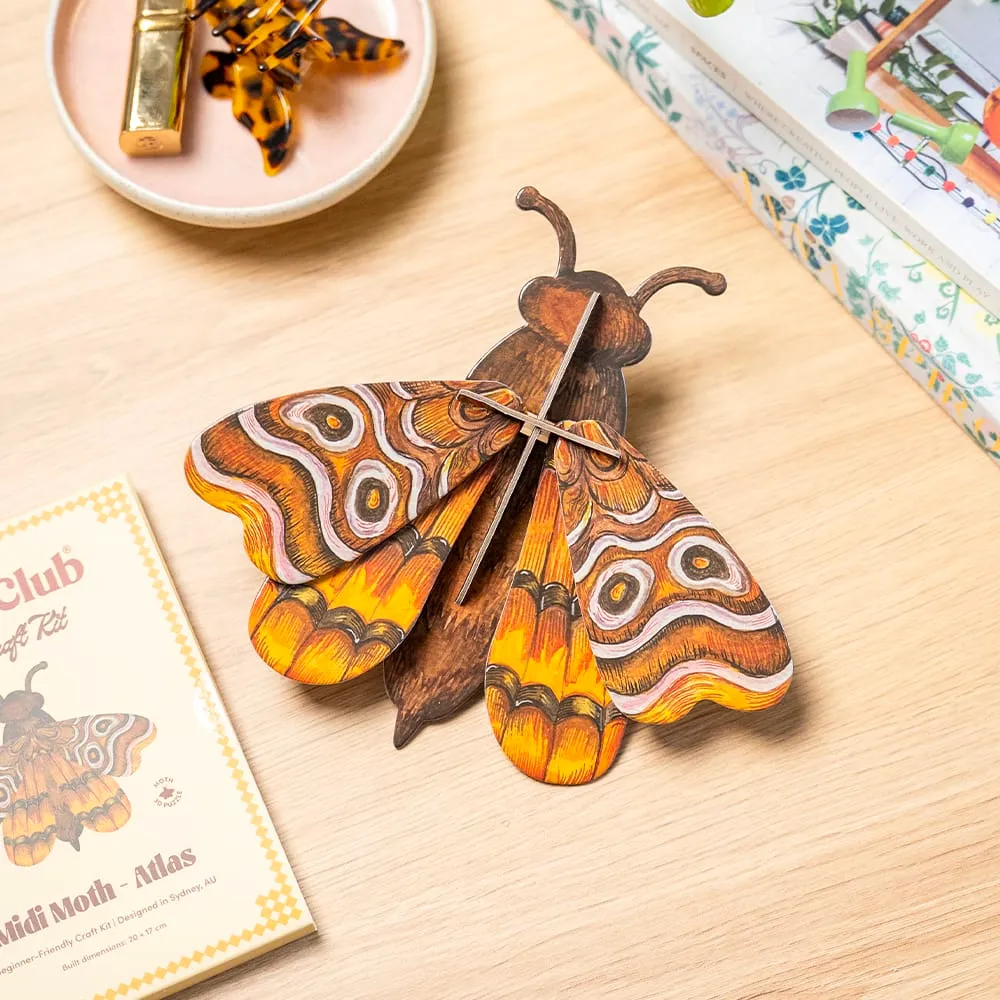 Craft Club Atlas Midi Moth puzzle 3D decor 20x17 cm