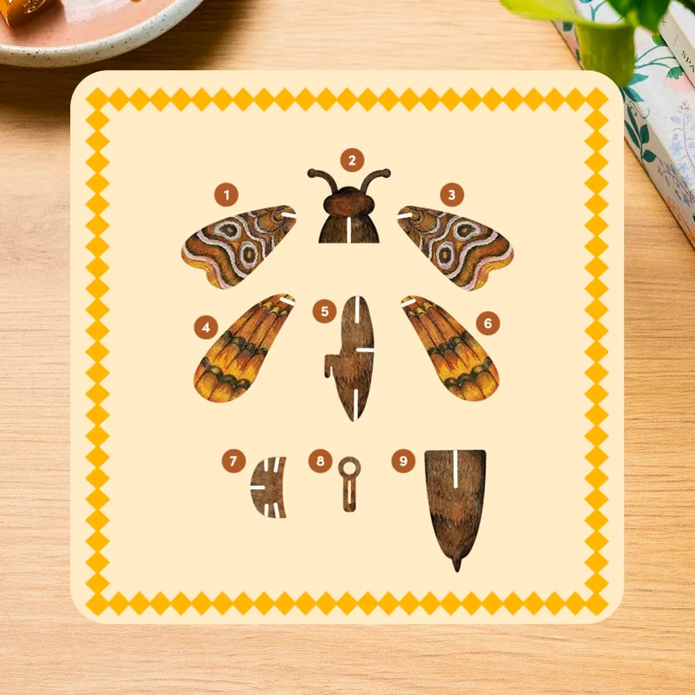 Craft Club Atlas Midi Moth puzzle 3D decor 20x17 cm