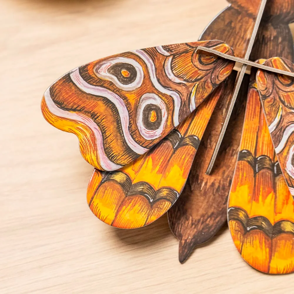Craft Club Atlas Midi Moth puzzle 3D decor 20x17 cm